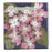 PINK DOGWOOD Paper Napkins, pack of 20