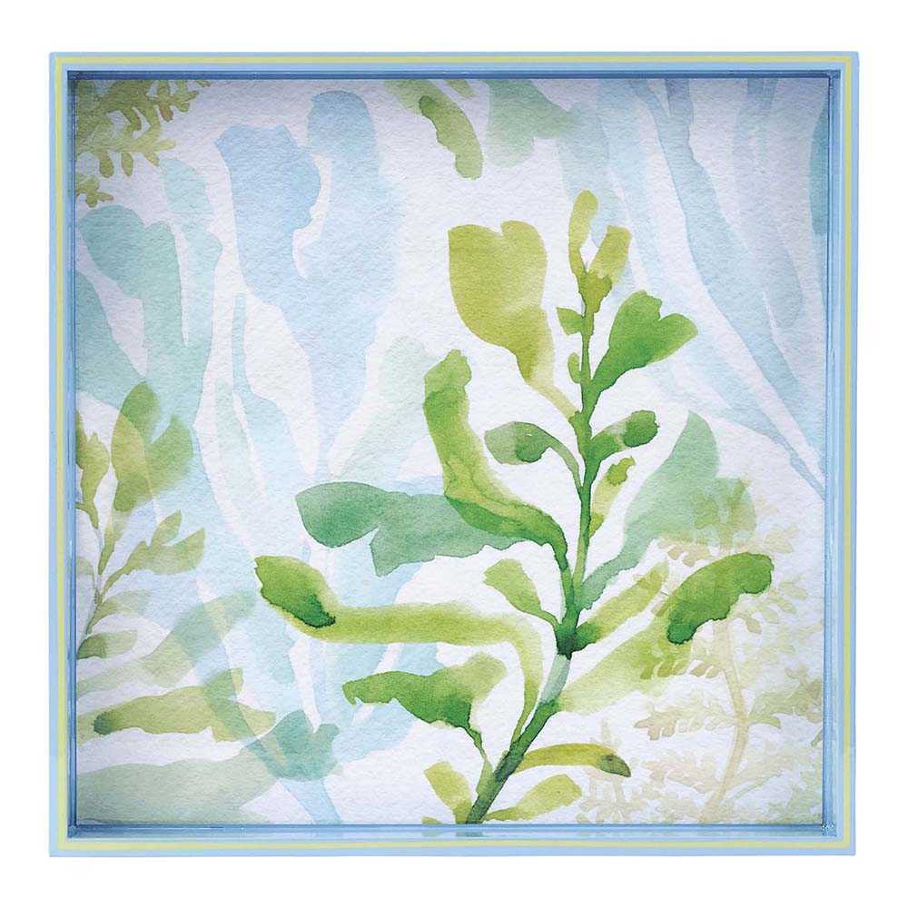 SEA KELP 15 Inch Square Tray