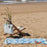 SAVE THE OCEAN Reversible Beach Towel