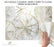 COASTAL SHELLS Cork-Backed Placemats, Set/4