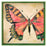BUTTERFLY STUDY 15 Inch Square Tray