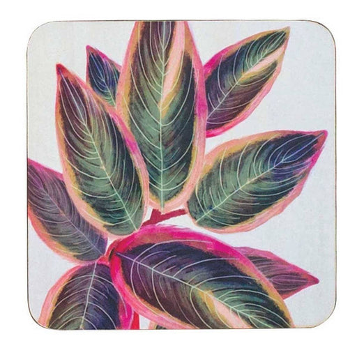 Rubber Plant Art Coasters - Set of Four HARDCOASTERS rfp-home